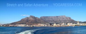 Cape-Town-Table-Mountain-panorama