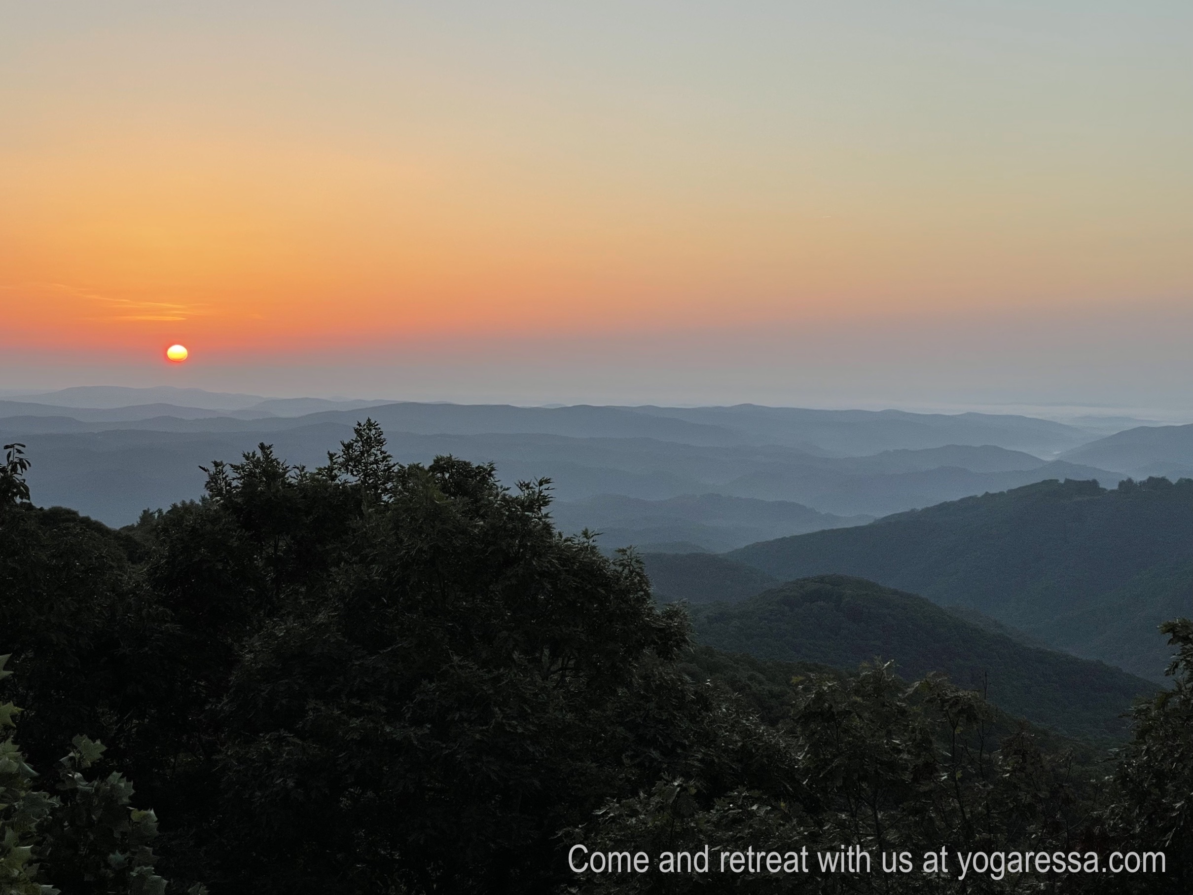 art-of-living-yoga-retreat-carolina